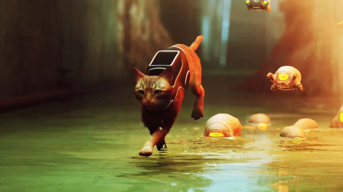 Stray review: Explore a forgotten City as the cutest cat