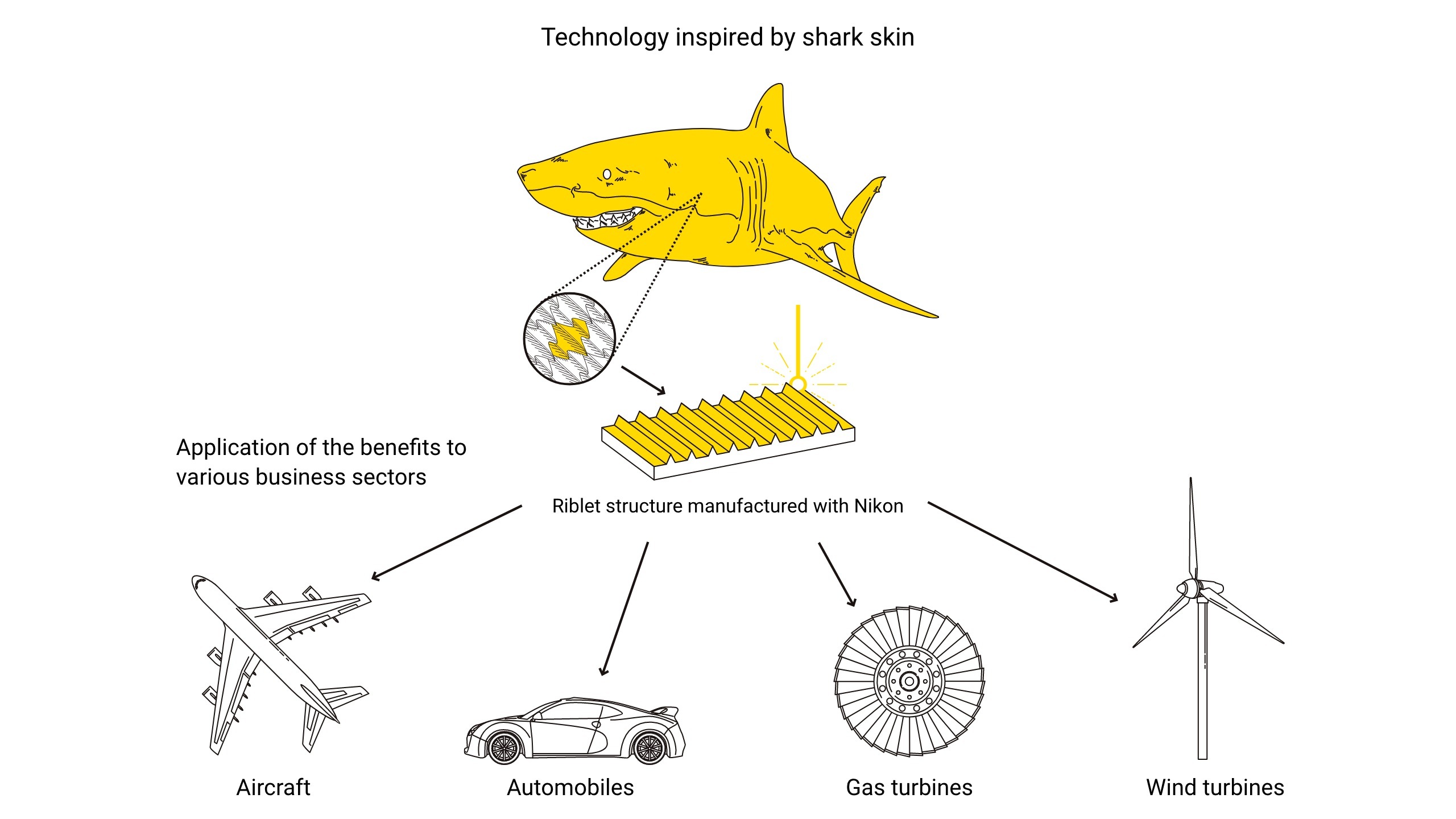 Nikon diagram of how shark skin has inspired new technology