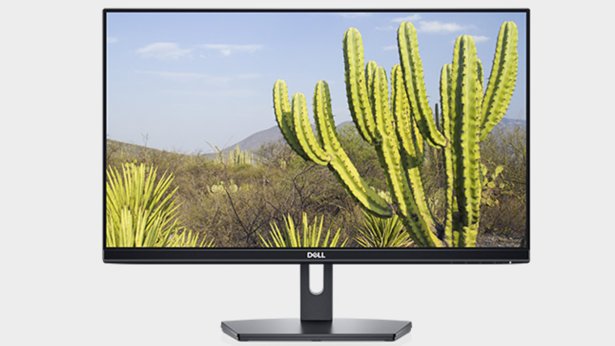 Dell SE2419 monitor