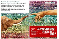 social media, ivory sales, elephants, conservation