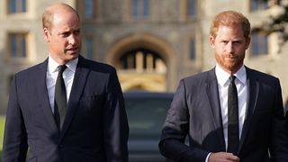 Prince William, Prince of Wales and Prince Harry, Duke of Sussex walk together to meet members of the public