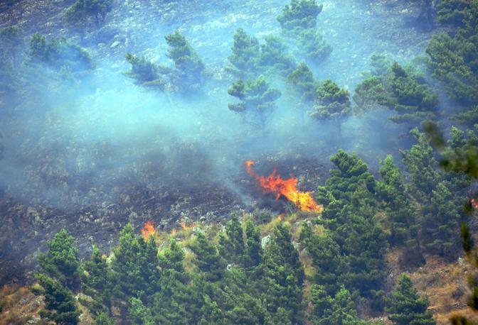 Fires in the Zingaro National Park in Sicily
