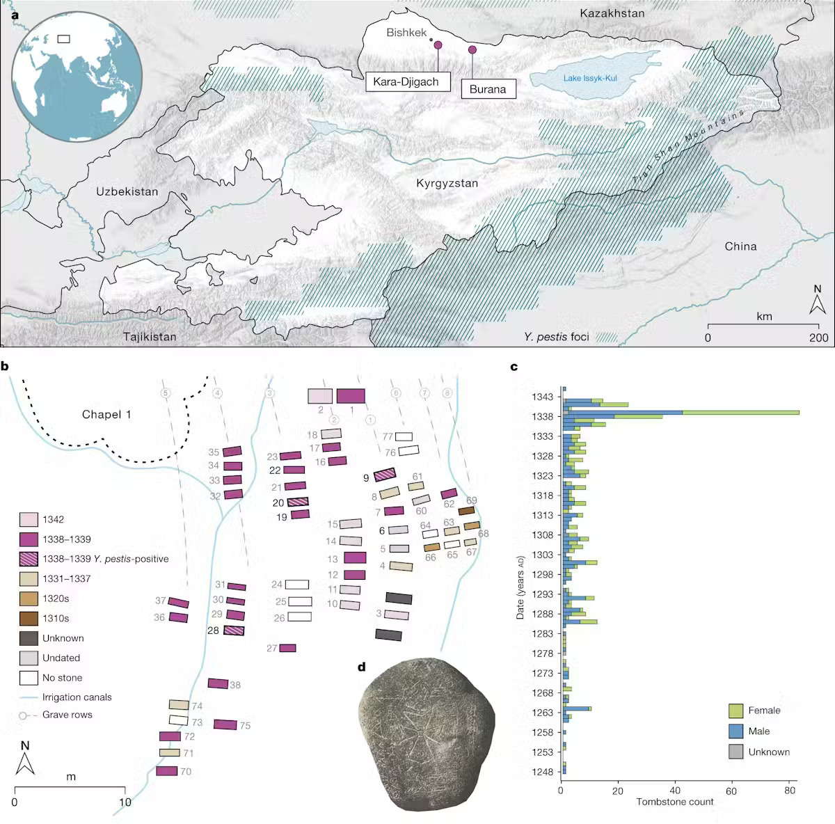 A scientific figure showing a map of gravestones with a chart of different tombstones.