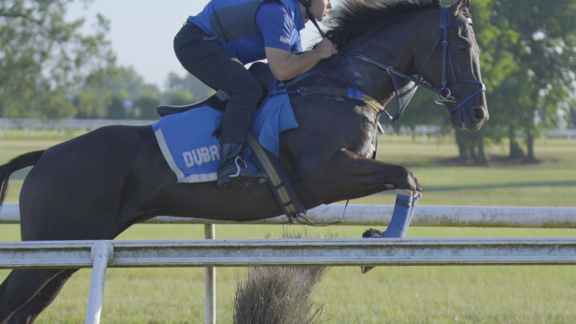 051618_Jumping-Racehorses_BDV1_1920_30.png