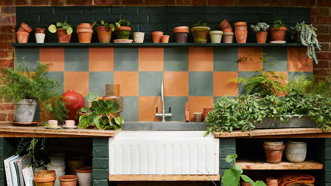 Plant pots on green shelf over a white sink