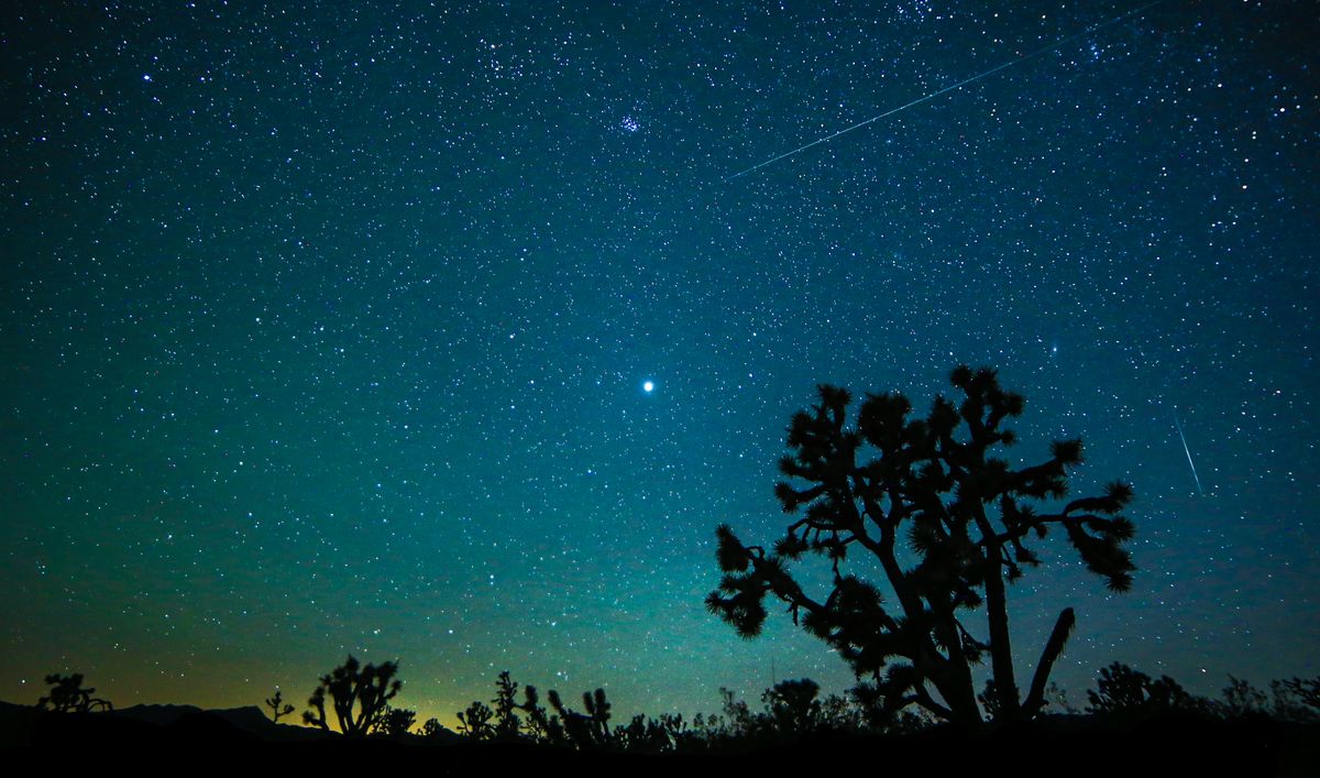 See The Geminid Meteor Shower 2023 Light Up The Sky In These Amazing ...