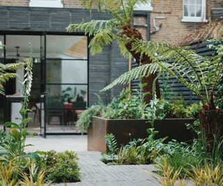 A contemporary garden designed with metal planters with ferns