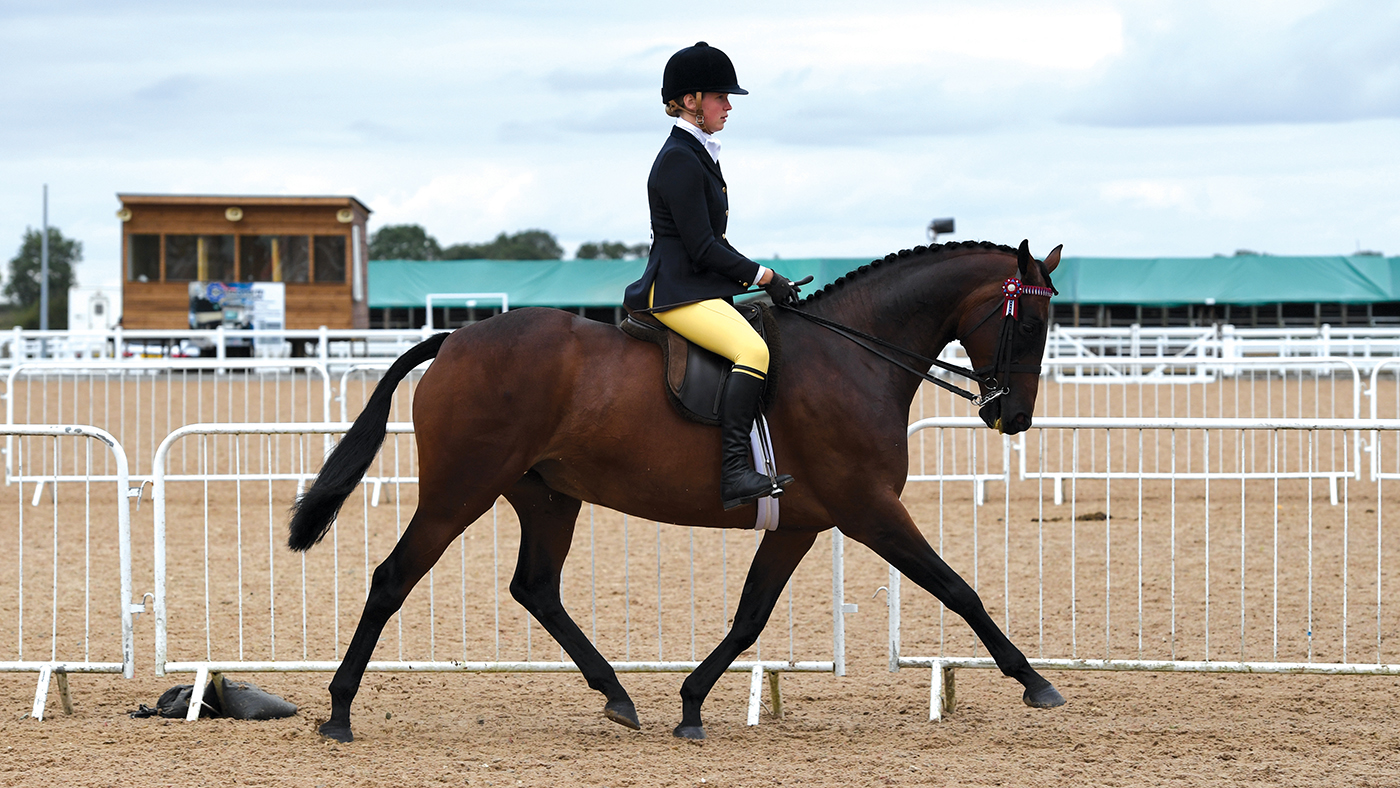 The late riding Dallamires Breaking Dawn