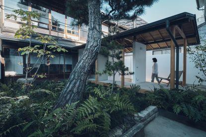 Exterior view of the Suzu apartment building renovation by Bonbonma Architecture surrounded by greenery