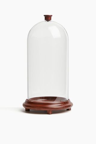 Glass Dome With Wooden Base