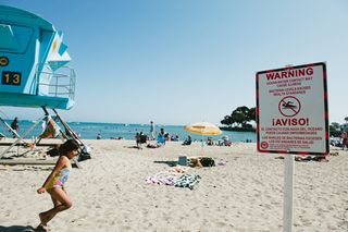 A warning sign at Doheny Beach, Calif., advises beachgoers to beware of high bacteria levels.