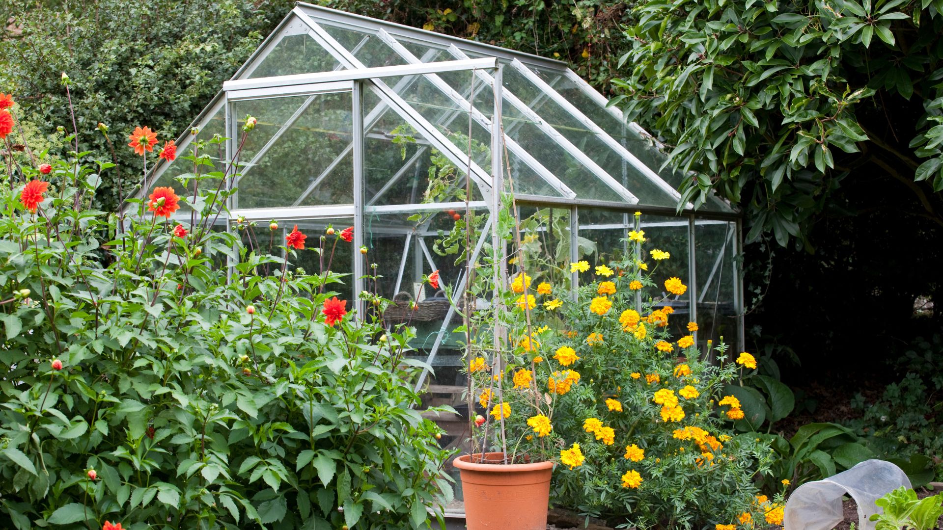 picture of greenhouse in garden