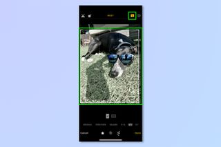 A screenshot showing how to edit photos on iPhone