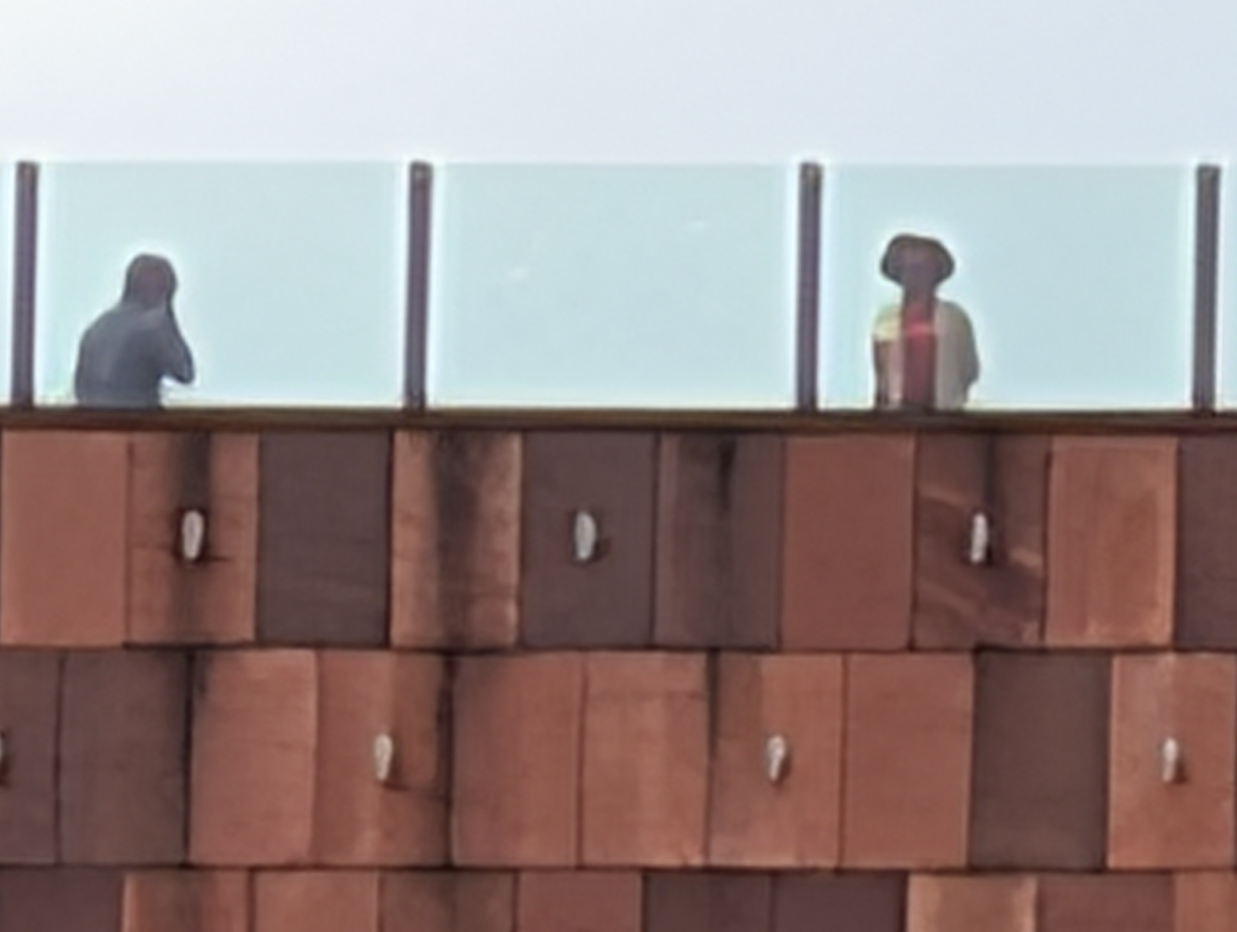 Google Pixel 10 Pro voorbeeldfoto