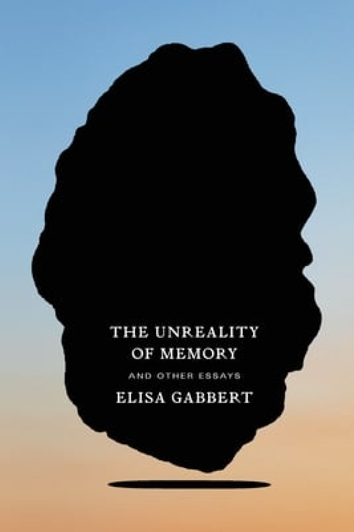 'The Unreality of Memory' book cover