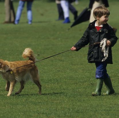Prince William walking his dog 