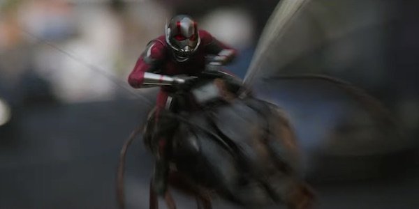 Scott Lang riding ant in Ant-Man and the Wasp