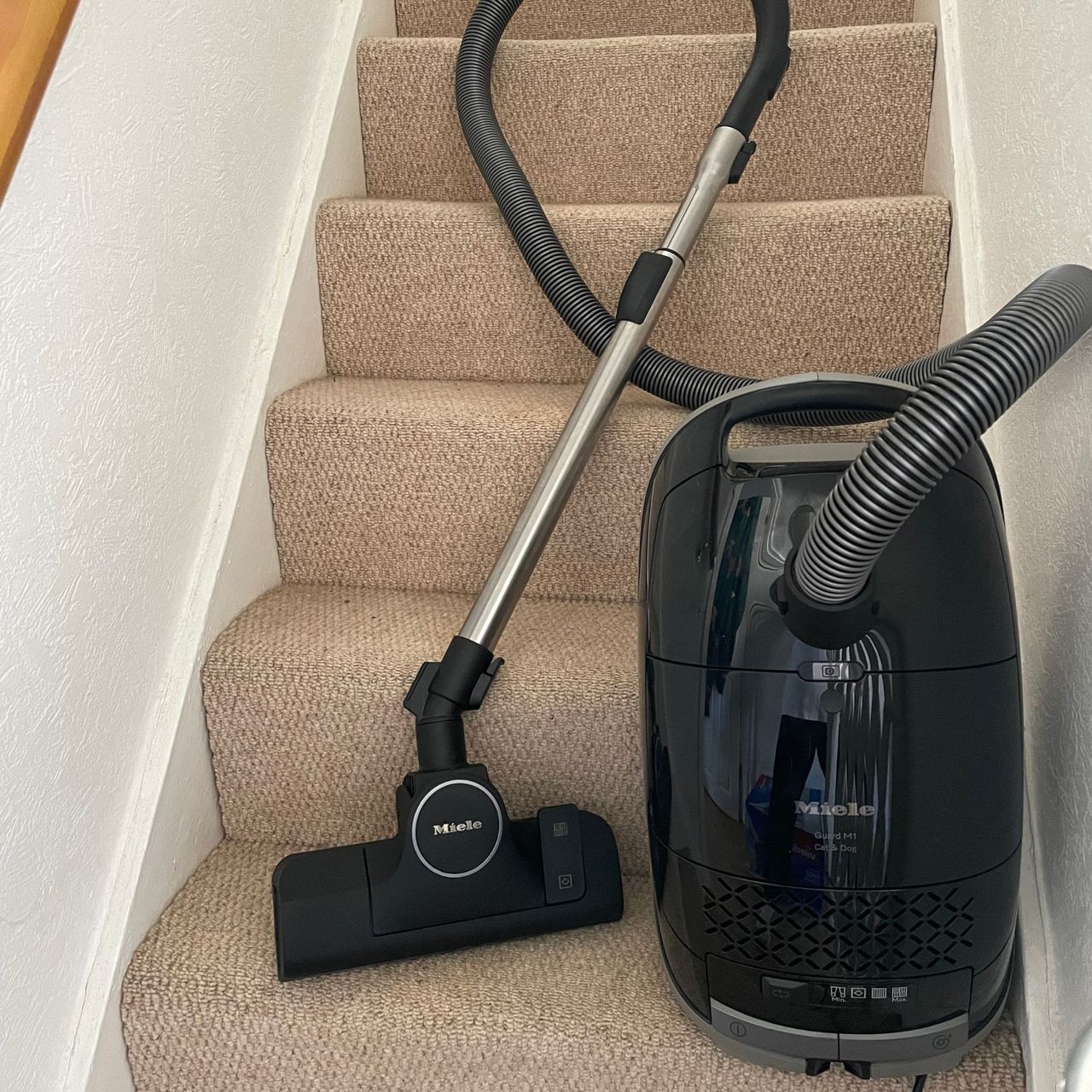 Miele M1 Guard standing on carpeted stairs