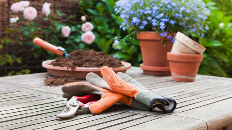 garden tool deals for amazon prime day