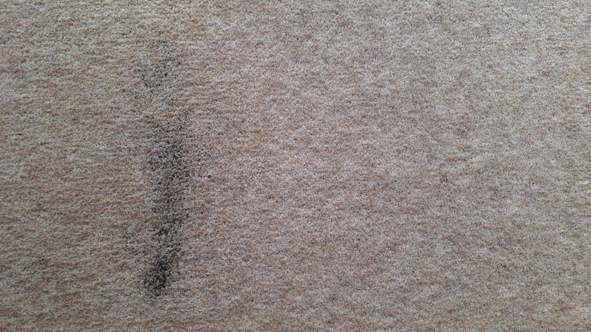 Remaining tea and oats on carpet, after two passes with the K11+