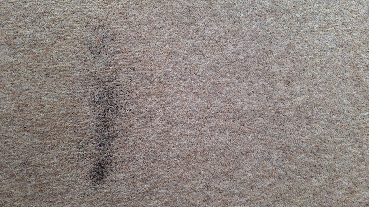 Remaining tea and oats on carpet, after two passes with the K11+