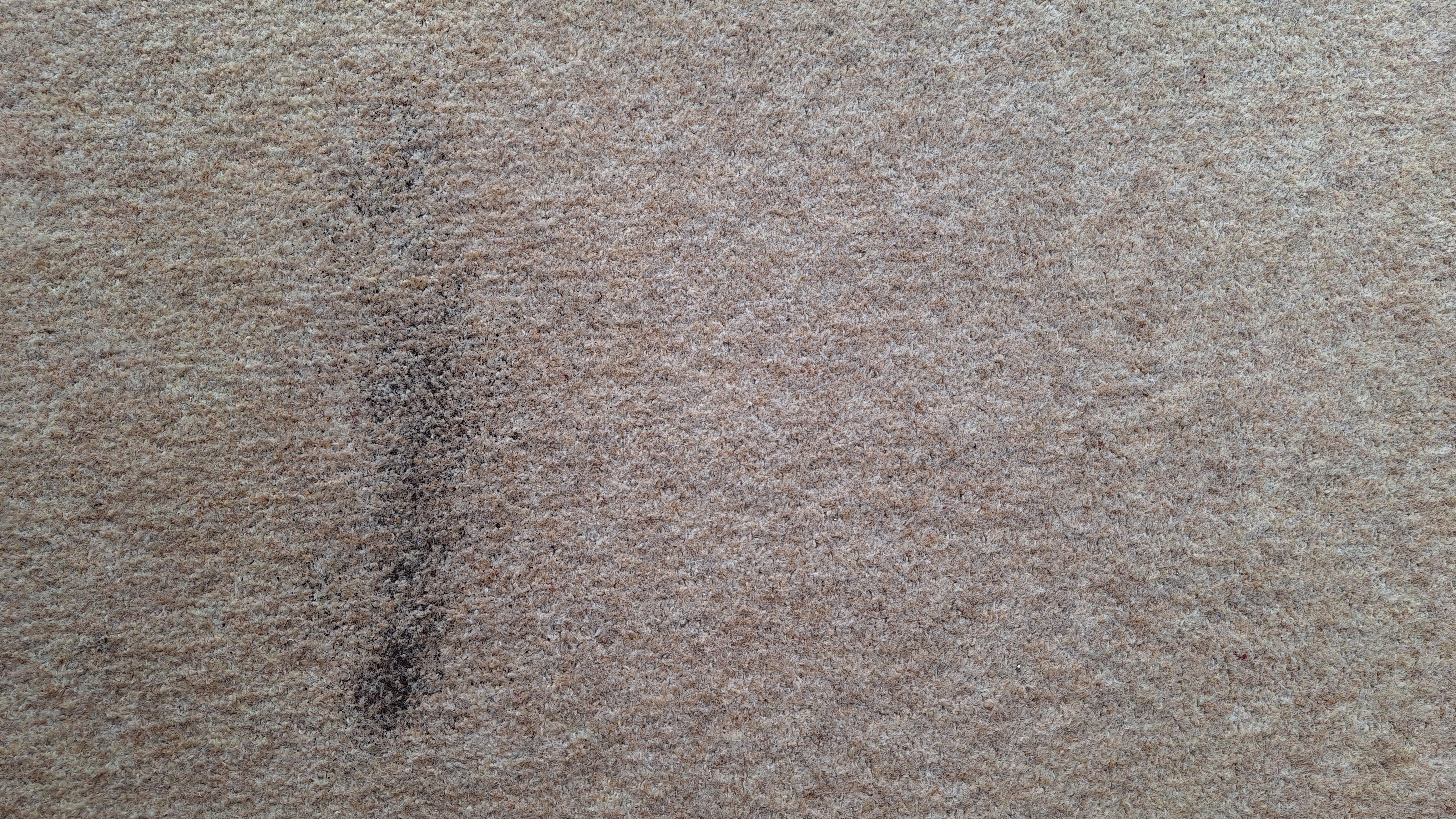 Remaining tea and oats on carpet, after two passes with the K11+