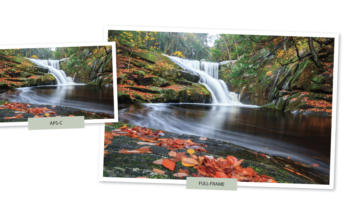 What’s the big deal with going full-frame? | Digital Camera World