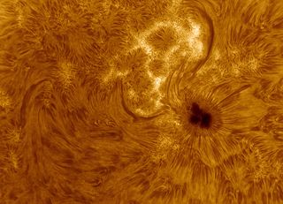 Sunspot AR 1711 JP Brahic 