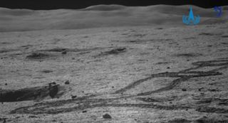 snaking rover tracks in the gray dirt of the moon.