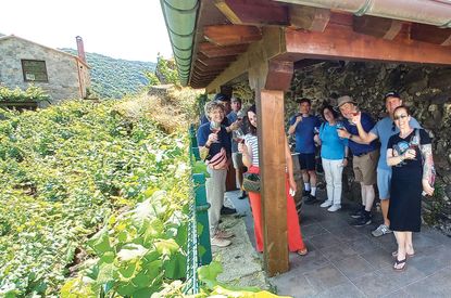 wine tourism in spain