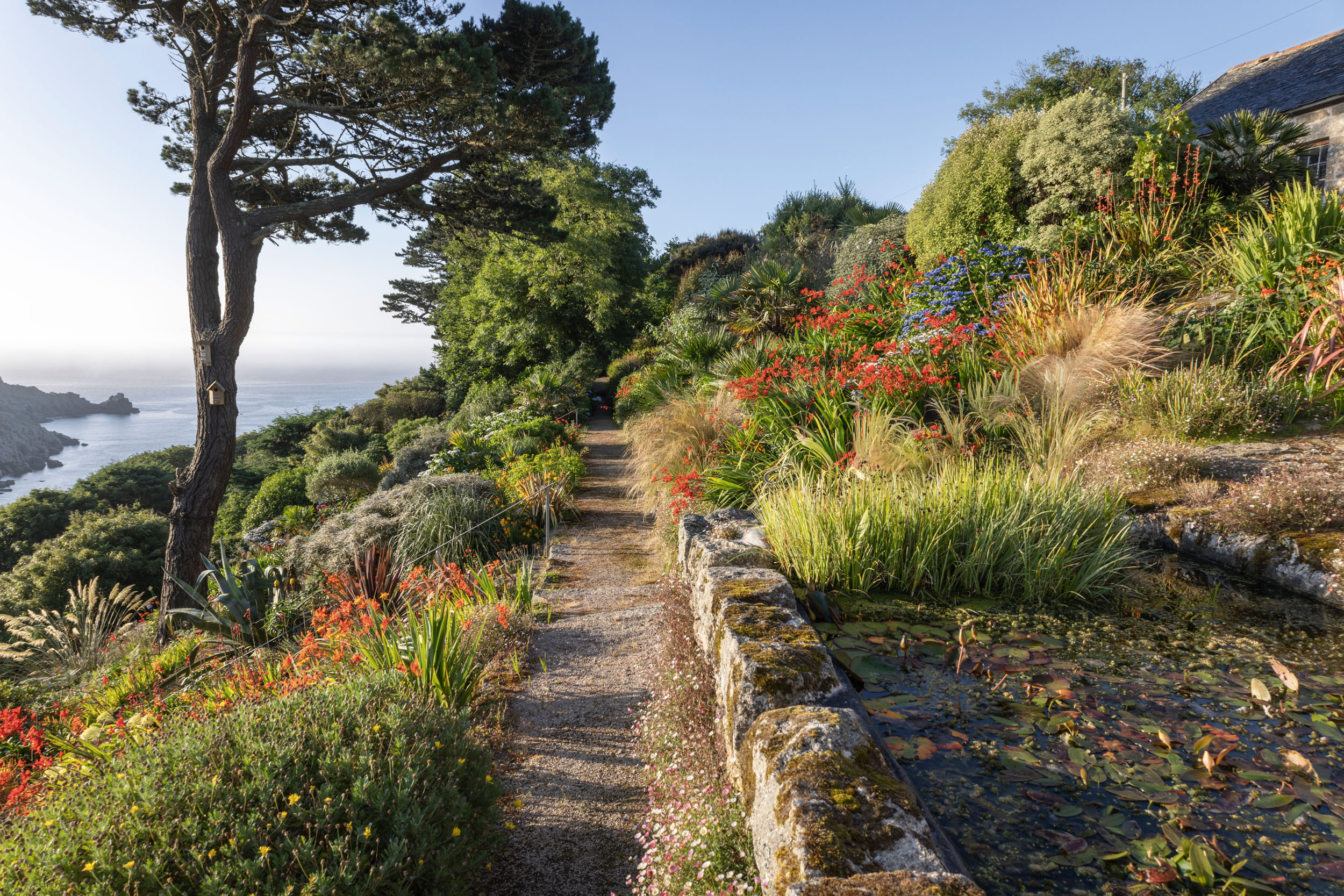 The gardens at Chygurno in Cornwall 
