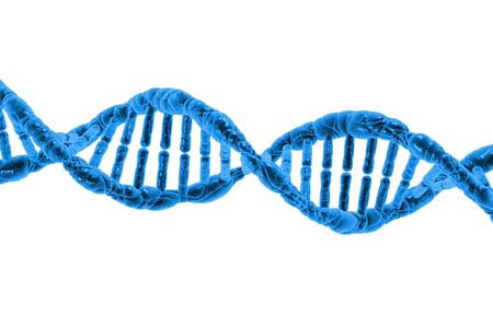 Understanding Genetics