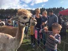 North Branch’s Early Childhood and Community Education hosted a petting zoo on election day.
