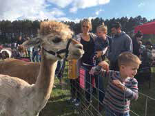 North Branch’s Early Childhood and Community Education hosted a petting zoo on election day.