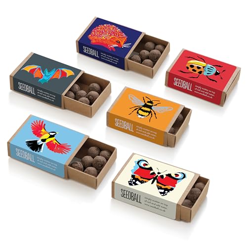 Seedball Wildlife Friendly Wildflower Seed Balls, Collection of 6 Mixes