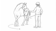 Web-diagrams17-1.jpg