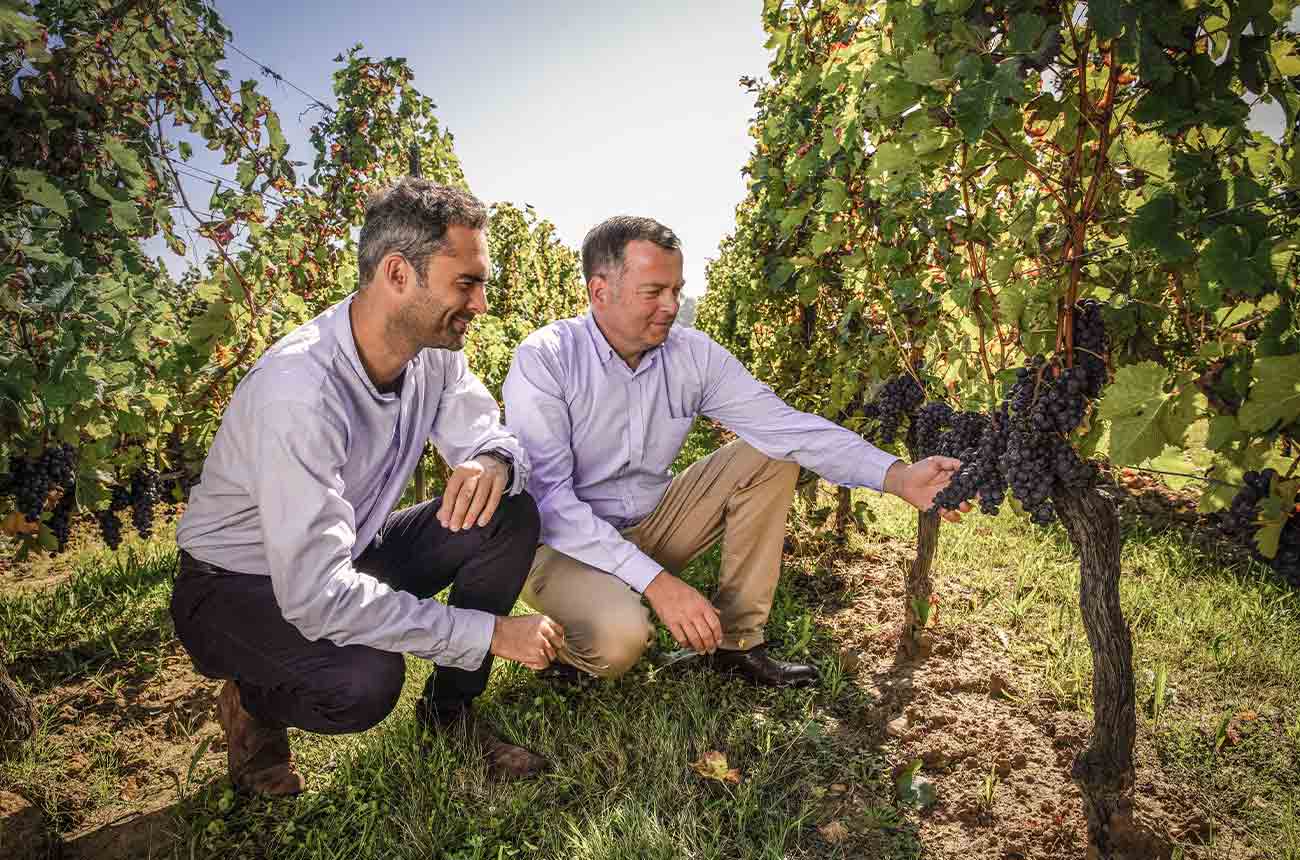 Chateau La Garde's global brand director, Valentin Jestin and chief winemaker, Fr&amp;eacute;d&amp;eacute;ric Bonnaffous in vineyards