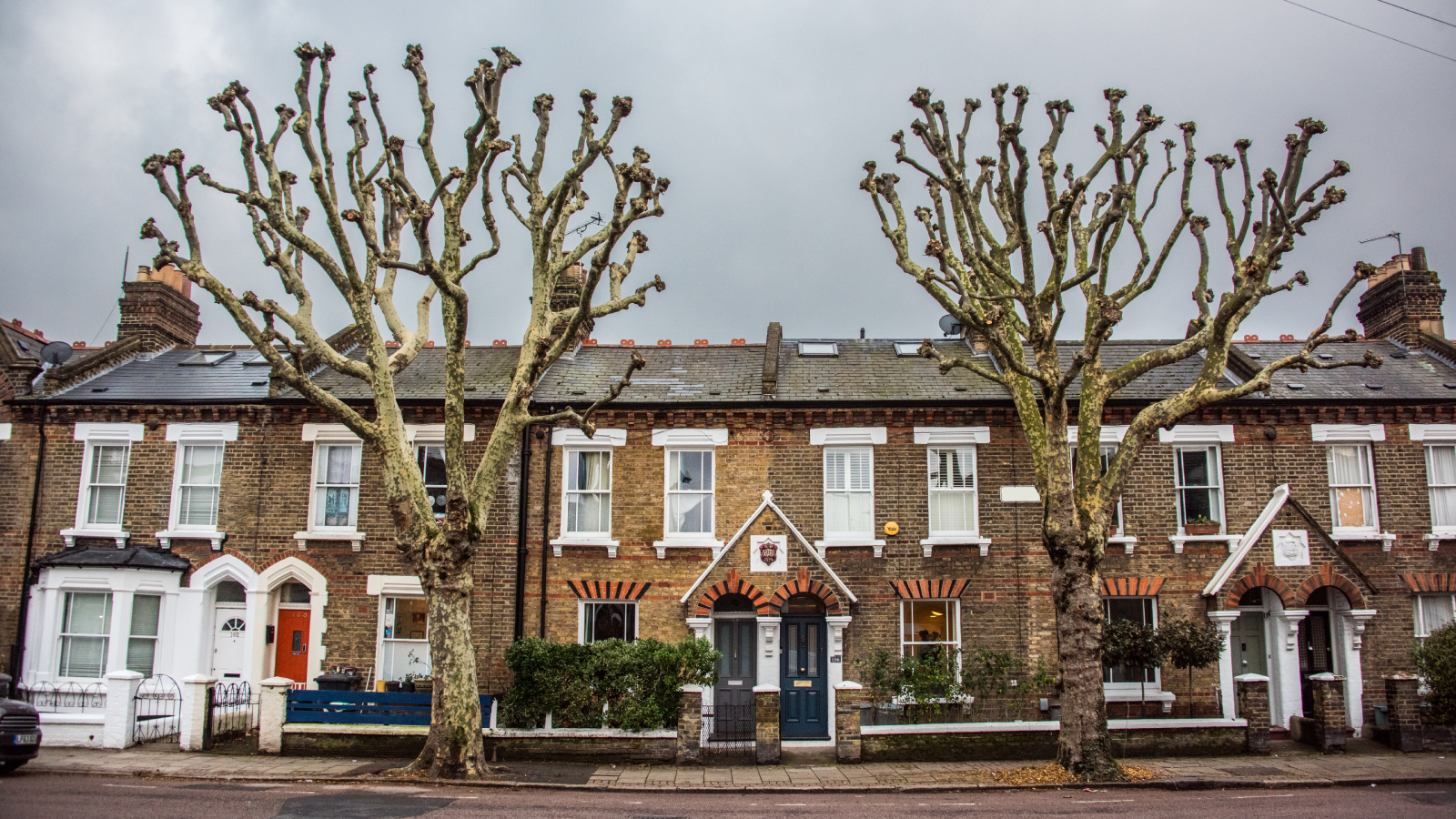 row of victorian houses on street with pollarded trees in front of the houses