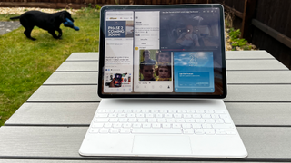 iPadOS 17 and Stage Manager being used outside, with dog in background