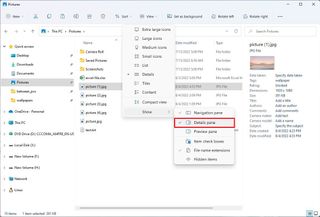 File Explorer enable details pane