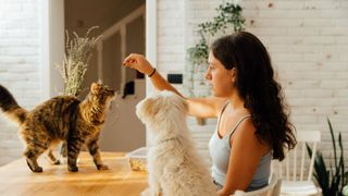 Woman giving cat a treat
