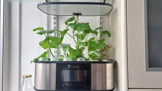 Letpot hydroponics grow system