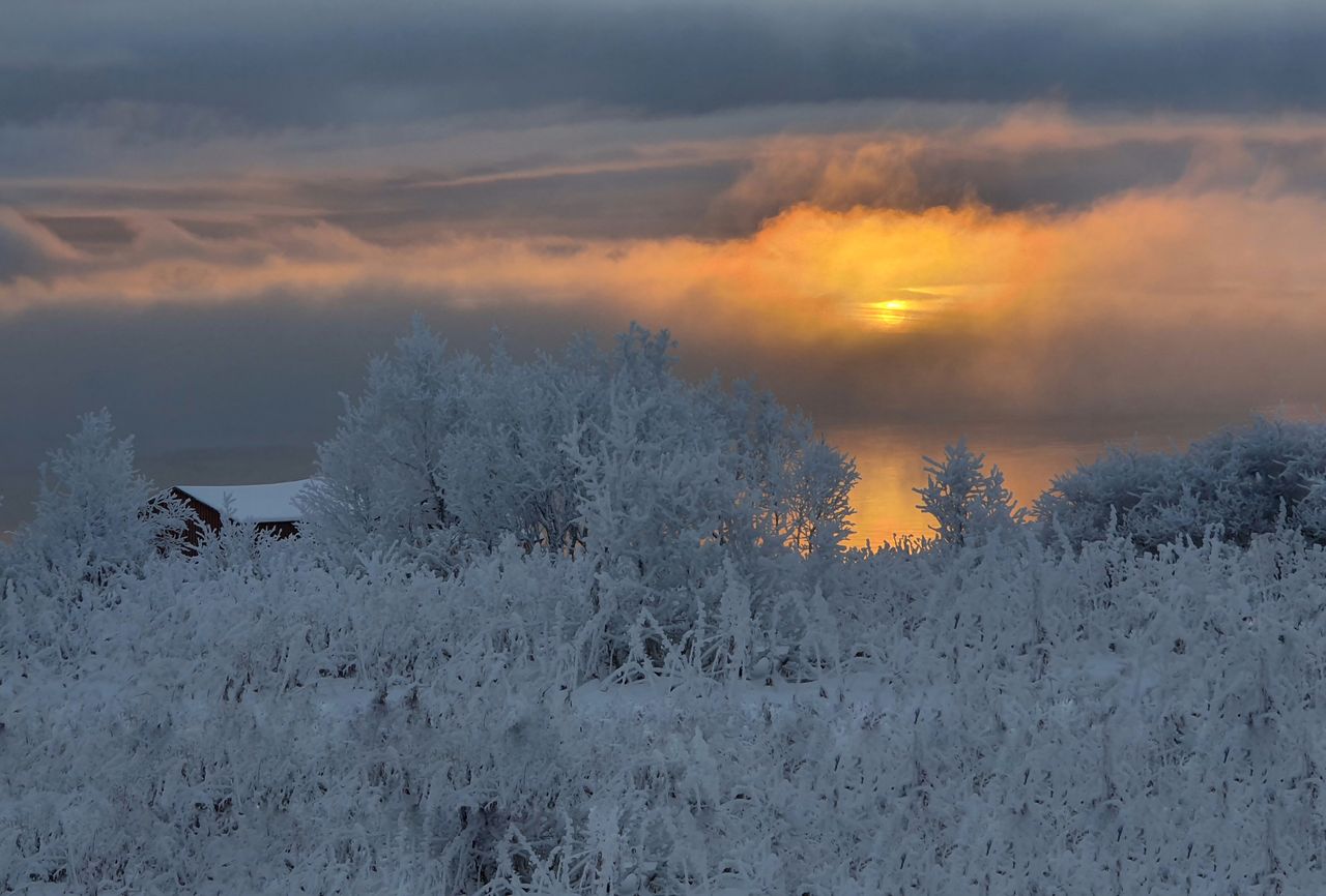 Tor Soldat - Norway