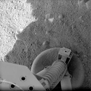 This image is a combination of several taken by the Stereo Surface Imager Left of the footpad of NASA's Phoenix Mars Lander after its successful May 25, 2008 landing in the Martian arctic.