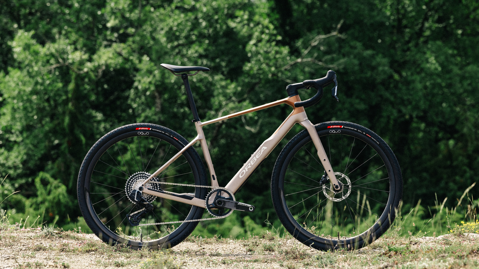 Orbea Terra M21eTEAM 1X bike pictured on a gravel track with a background of trees