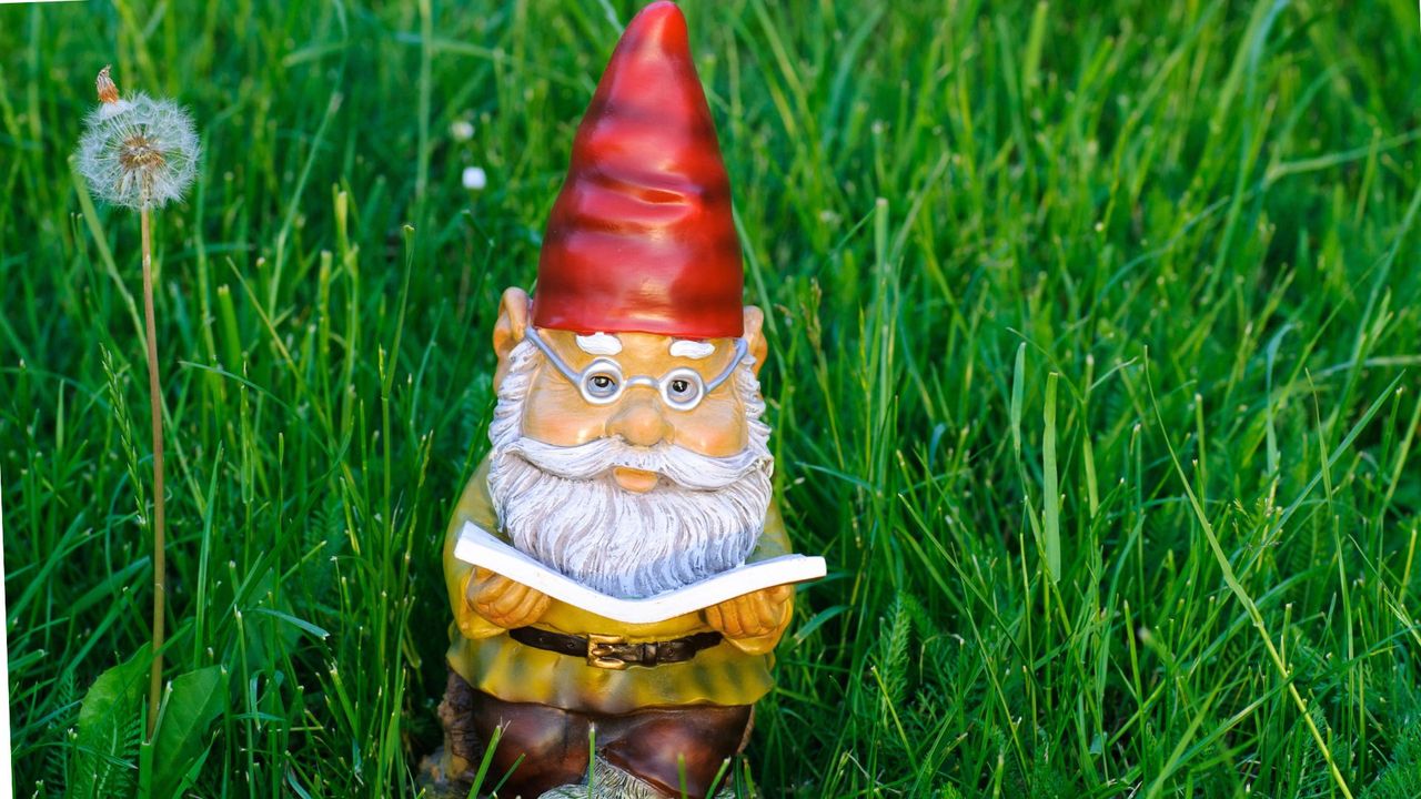 Funny Garden Gnome Reading Book in Grass 