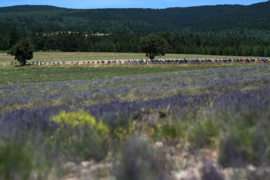 MONT VENTOUX FRANCE JUNE 14 A general view of the Peloton passing through a lavender field during the 4th Mont Ventoux Denivele Challenge 2022 a 153km one day race from VaisonlaRomaine to Mont Ventoux 1893m MVDC on June 14 2022 in Mont Ventoux France Photo by Dario BelingheriGetty Images