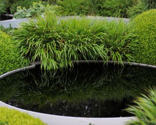 smooth stone pond edged with ornamental grasses