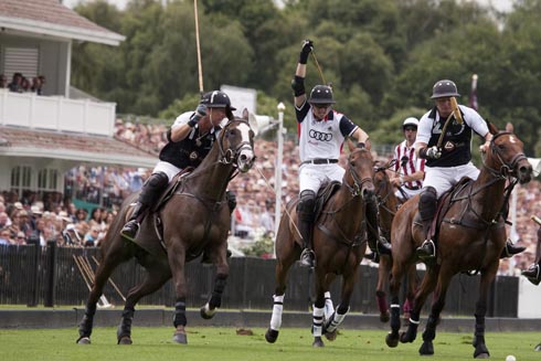 Polo ad