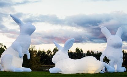 Large white nylon rabbits by Australian artist Amanda Parer on a green lawn in a park.